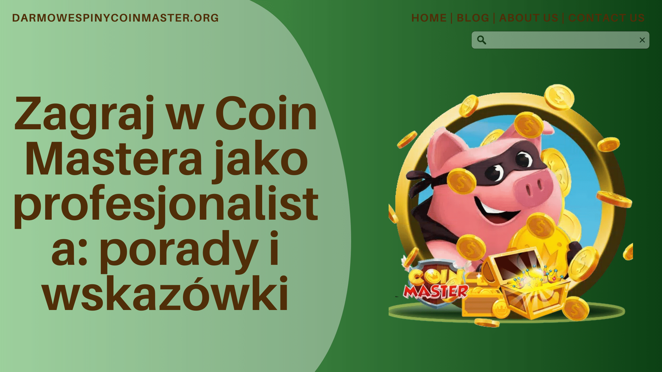 Porady i wskazówki